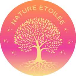 Logo terre étoilée